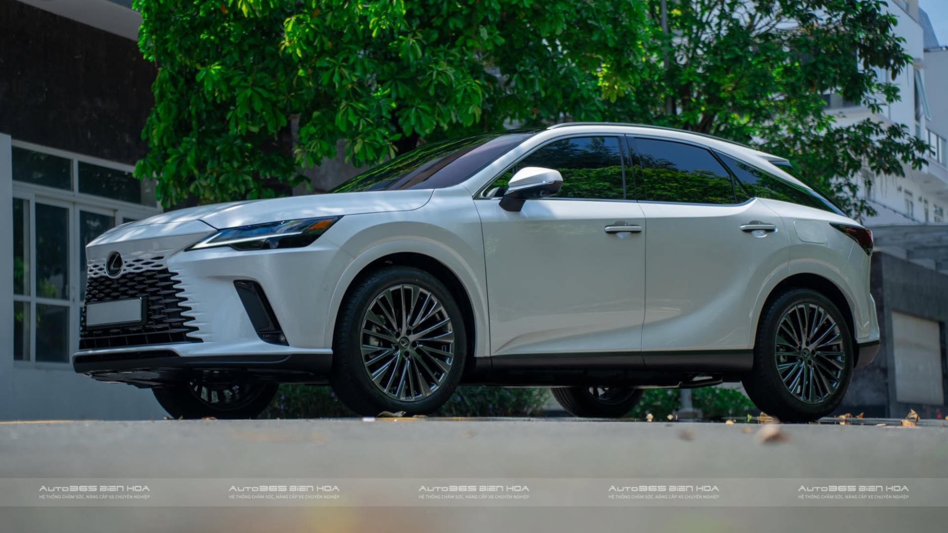 Lexus RX350h Trắng Dán PPF Avery – Giữ Nét Sang Lâu Hơn Theo Thời Gian